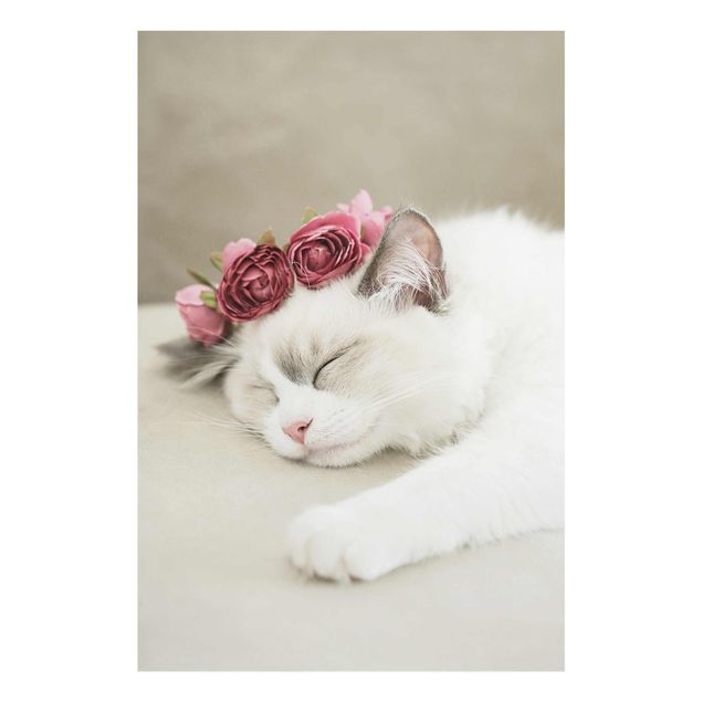 Wandbilder Floral Schlafende Katze mit Rosen