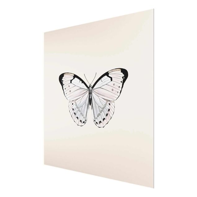 Monika Strigel Bilder Schmetterling auf Beige