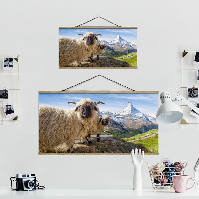 Wandbilder Natur Schwarznasenschafe von Zermatt