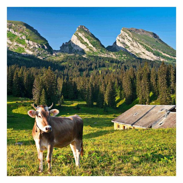 Rainer Mirau Bilder Schweizer Almwiese mit Kuh