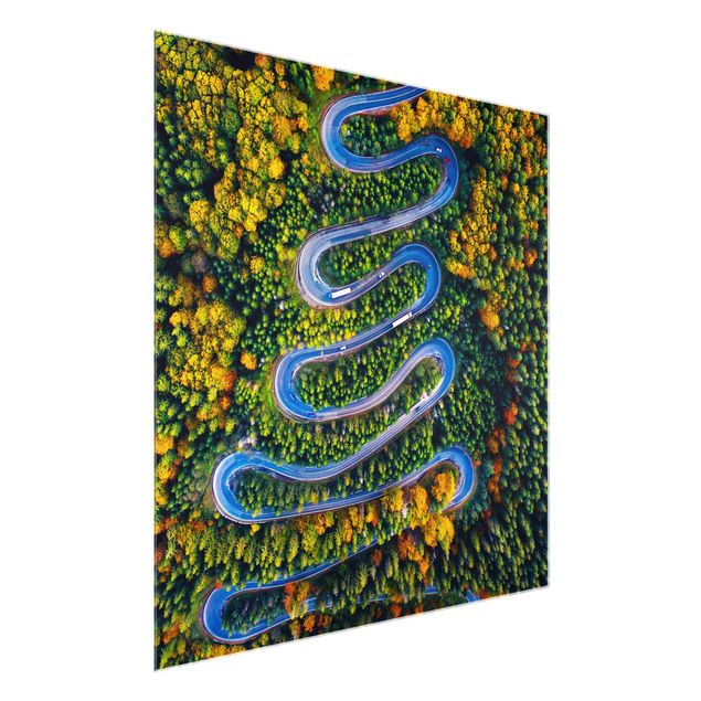 Wandbilder Glas Natur Serpentine im Transsilvanischen Wald