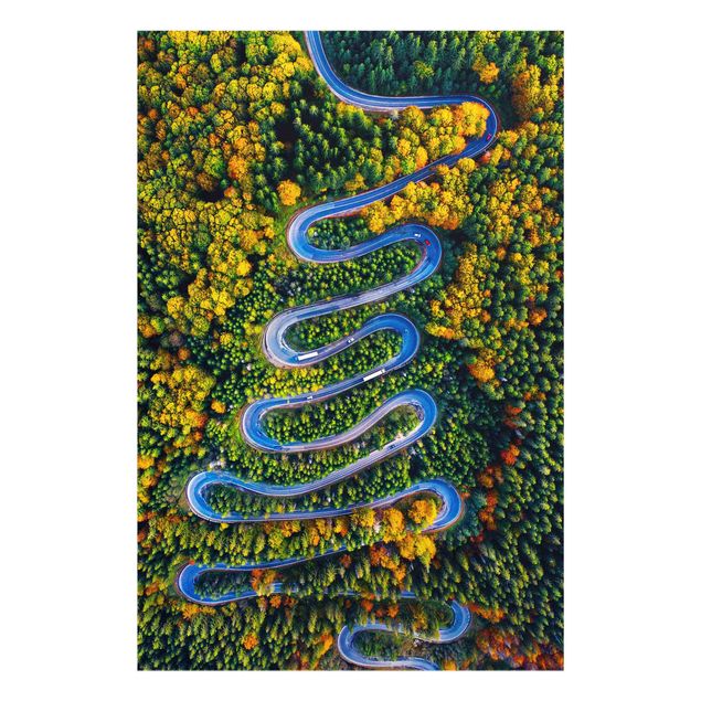 Wandbilder Natur Serpentine im Transsilvanischen Wald