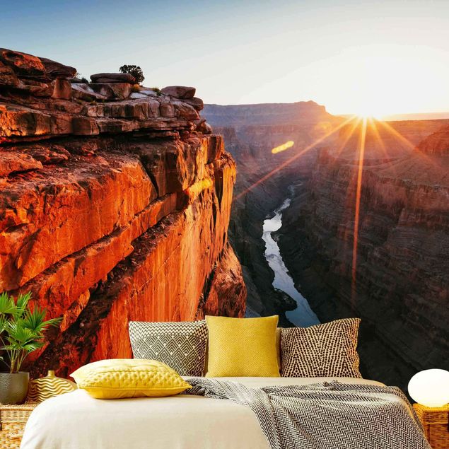 Tapete Pflanzen Sonne im Grand Canyon