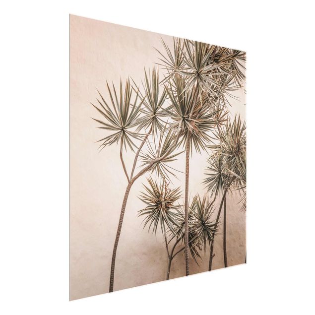 Wandbilder Floral Sonnengeküsste Palmen