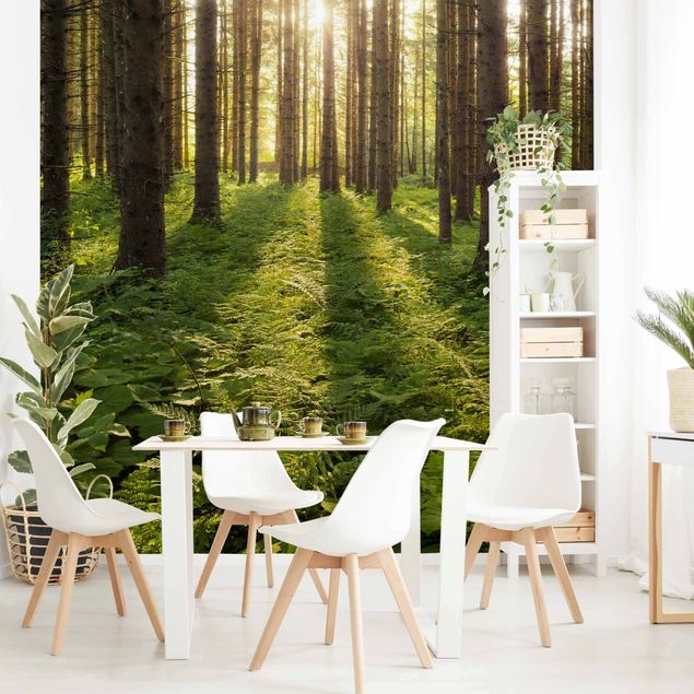 Küche Dekoration Sonnenstrahlen in grünem Wald
