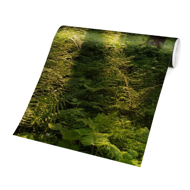 Fototapete gruen Sonnenstrahlen in grünem Wald