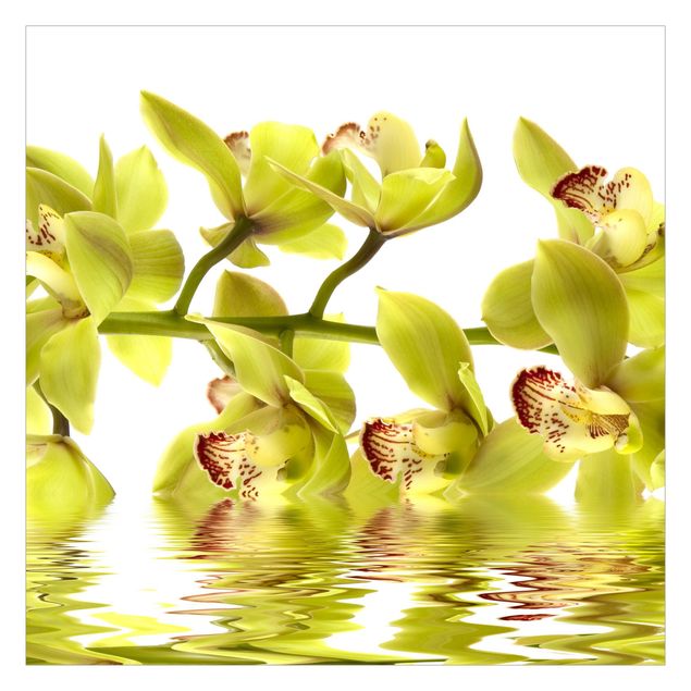 Fototapete - Splendid Orchid Waters