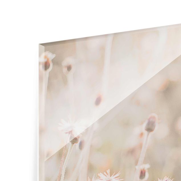 Glasbild - Strahlende Blumenwiese - Quadrat