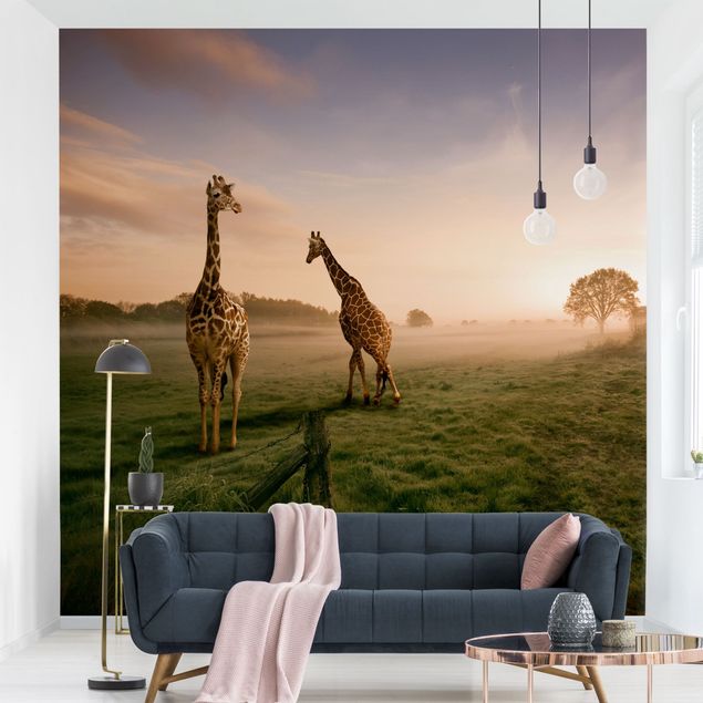 Fototapete Giraffe Surreal Giraffes
