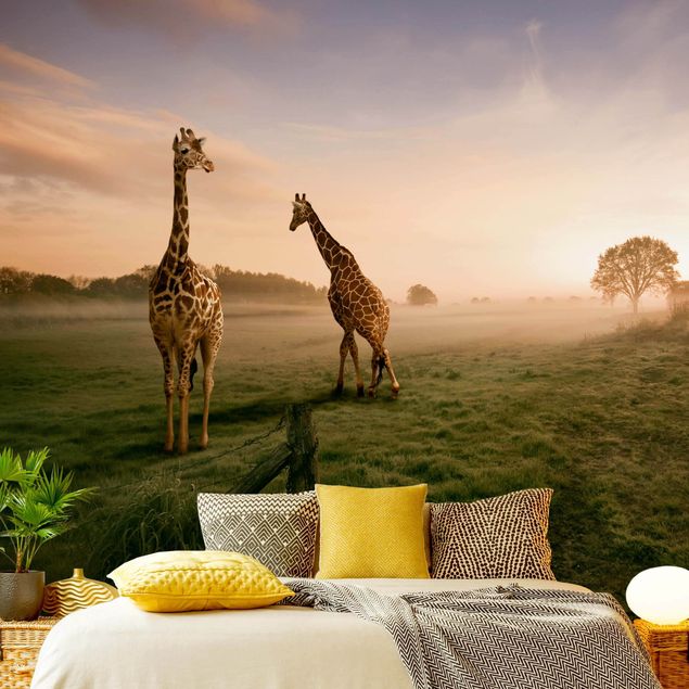Fototapete modern Surreal Giraffes