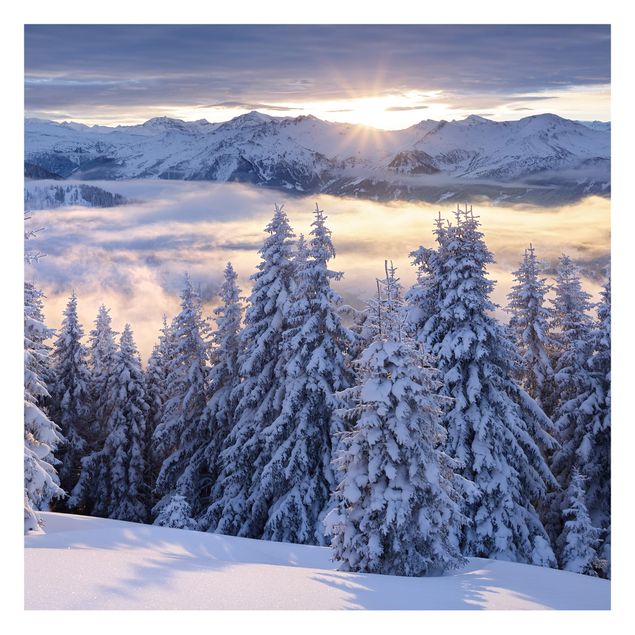 Fototapeten Weiß Blick in die Hohen Tauern vom Kreuzkogel Österreich