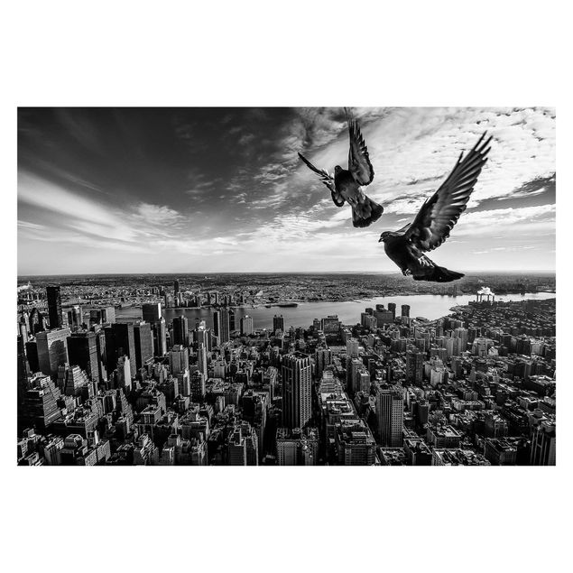 Fototapete Tauben auf dem Empire State Building