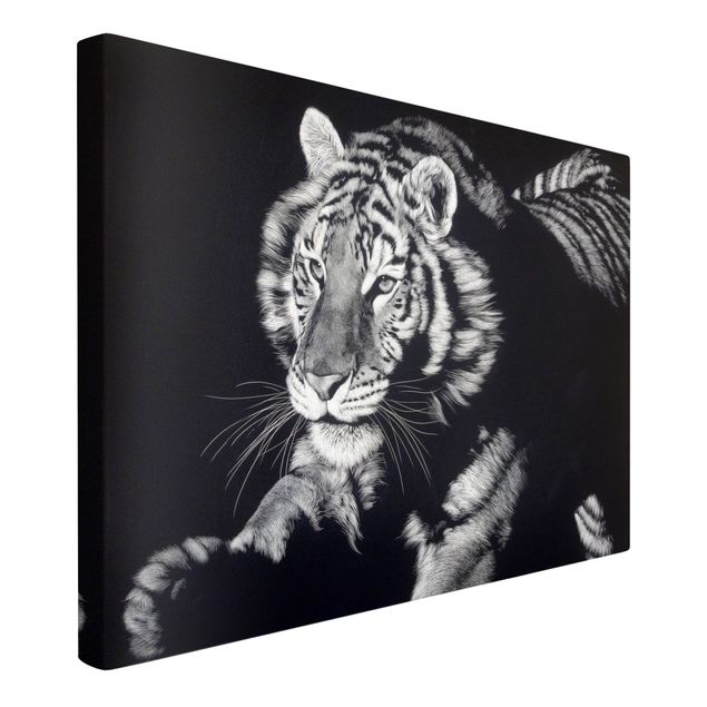 Leinwandbilder schwarz-weiß Tiger im Sonnenlicht vor Schwarz
