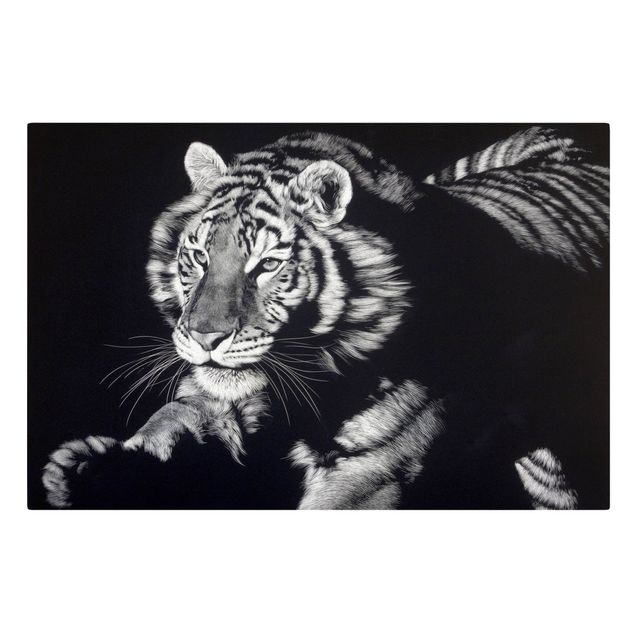 Leinwand Tiere Tiger im Sonnenlicht vor Schwarz
