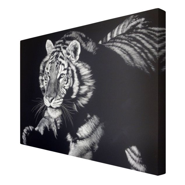 Wandbilder Modern Tiger im Sonnenlicht vor Schwarz