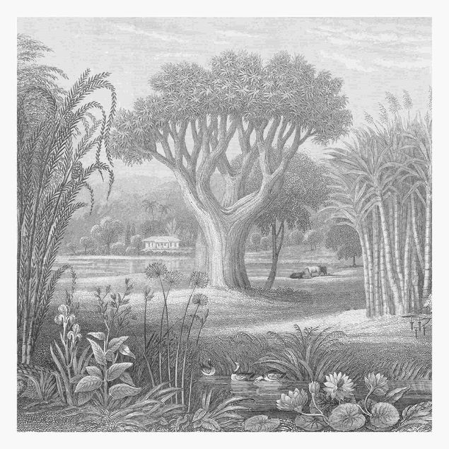 Foto Tapete Tropischer Kupferstich Garten mit Teich in Grau