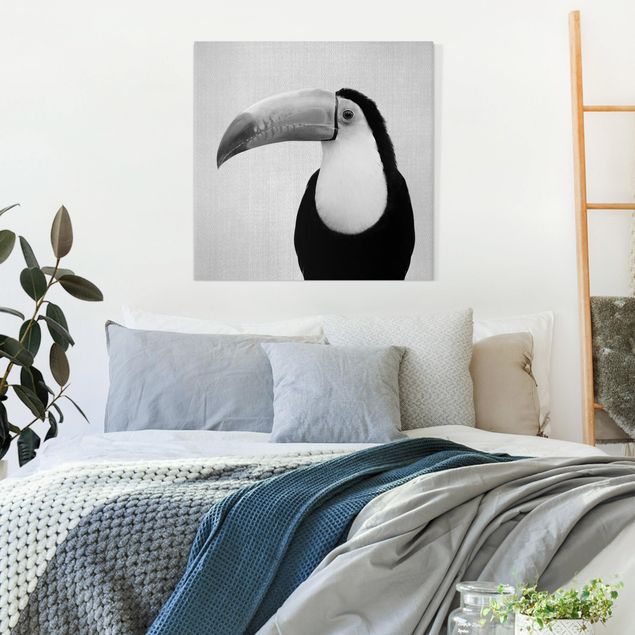 Leinwandbild Vögel Tukan Torben Schwarz Weiß