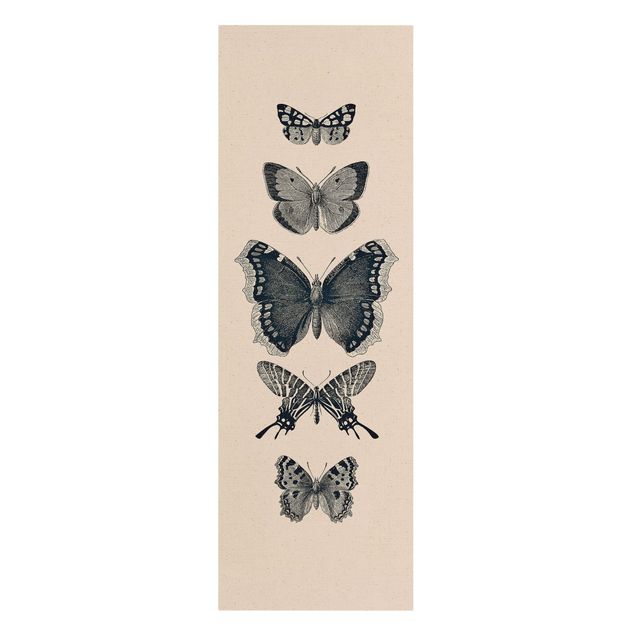 Wandbilder Modern Tusche Schmetterlinge auf Beige