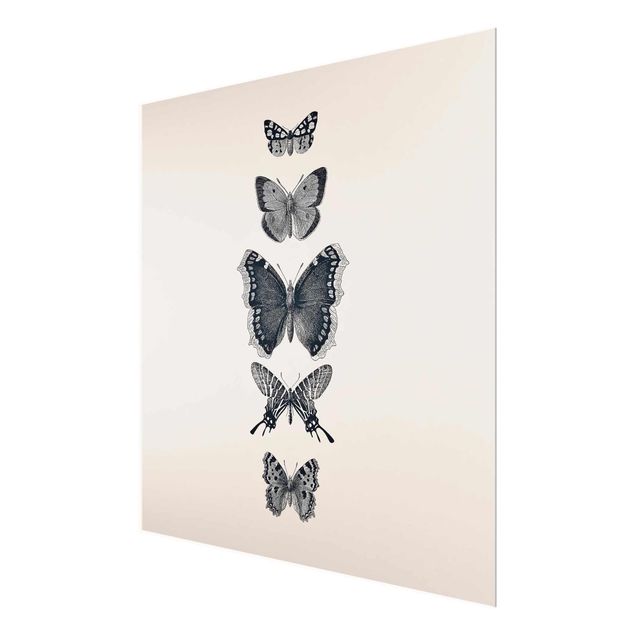 Wandbilder Grau Tusche Schmetterlinge auf Beige
