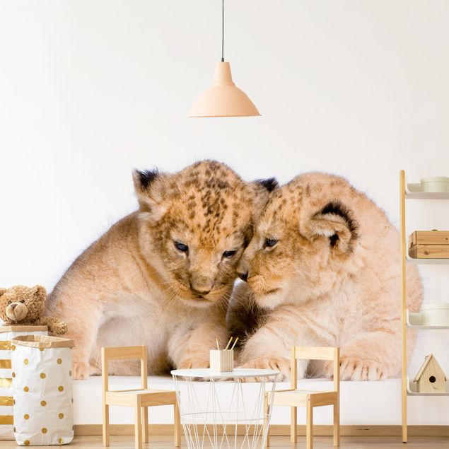 Küche Dekoration Two Lion Babys