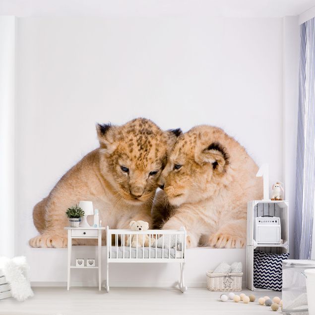 Fototapete modern Two Lion Babys