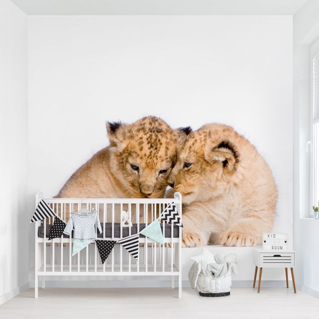 Fototapete Two Lion Babys