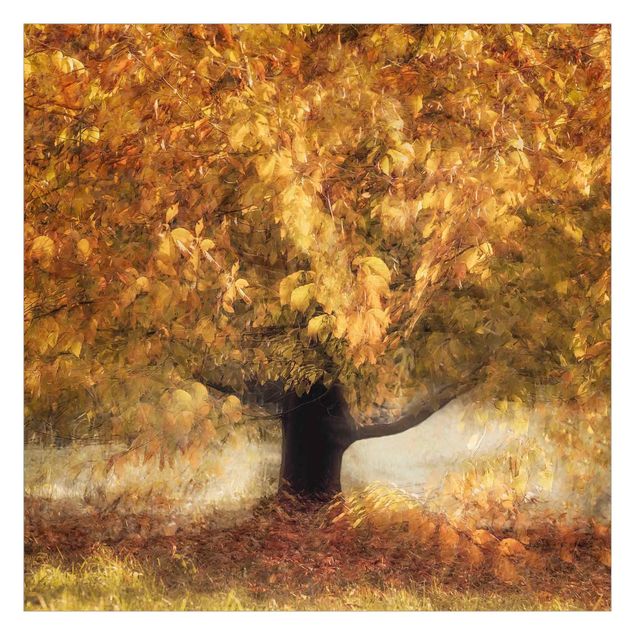 Fototapete kaufen Verträumter Baum im Herbst