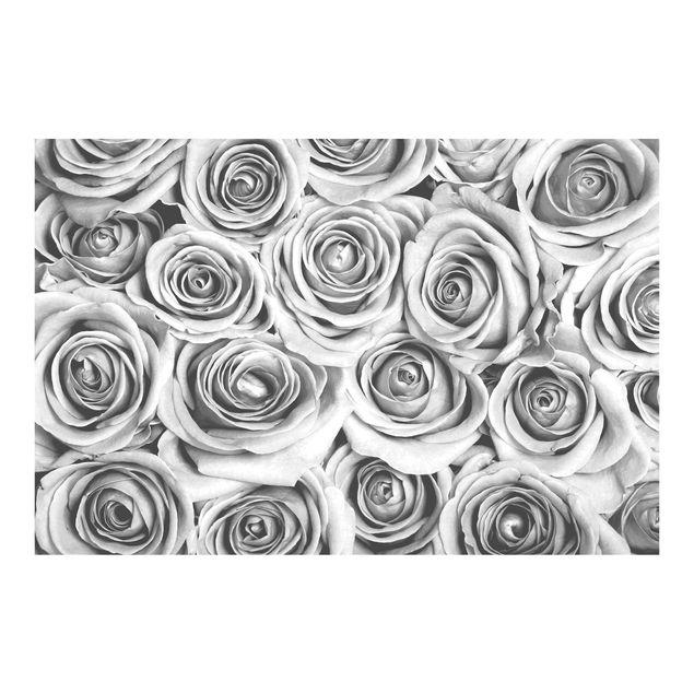 Fototapete kaufen Vintage Rosen Schwarz-Weiß