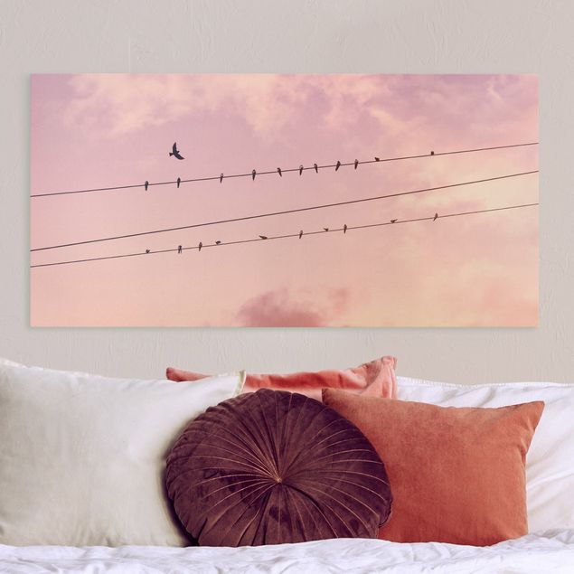 Leinwandbild Sonnenuntergang Vögel auf der Stromleitung