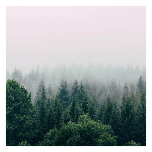 Fototapete Wald im Nebel Dämmerung