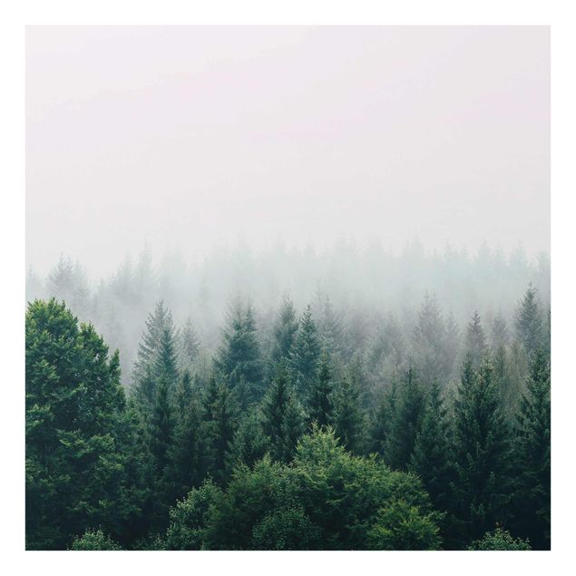 Wandbilder Natur Wald im Nebel Dämmerung