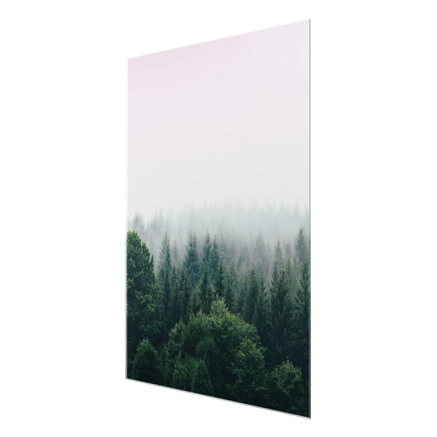 Wandbilder Modern Wald im Nebel Dämmerung