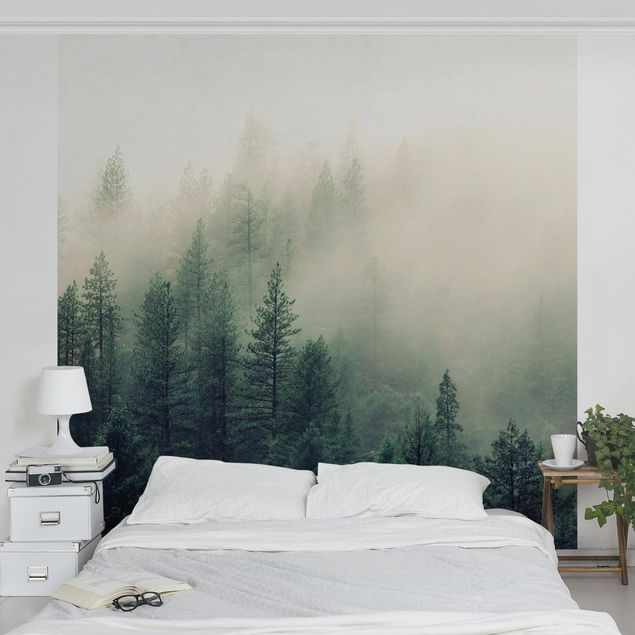 Fototapete modern Wald im Nebel Erwachen