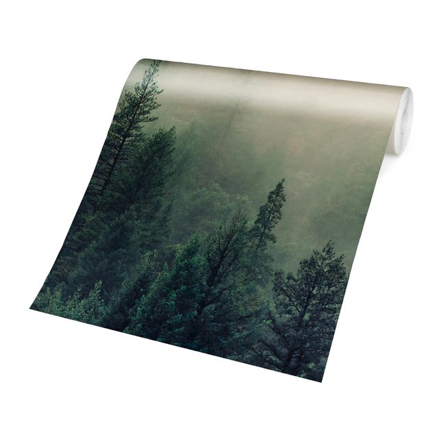Fototapete gruen Wald im Nebel Erwachen