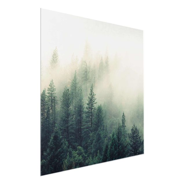 Wandbilder Glas Natur Wald im Nebel Erwachen