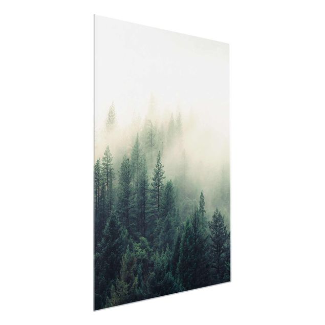 Glasbilder Landschaften Wald im Nebel Erwachen
