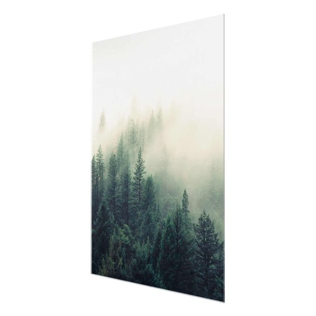 Wandbilder Modern Wald im Nebel Erwachen