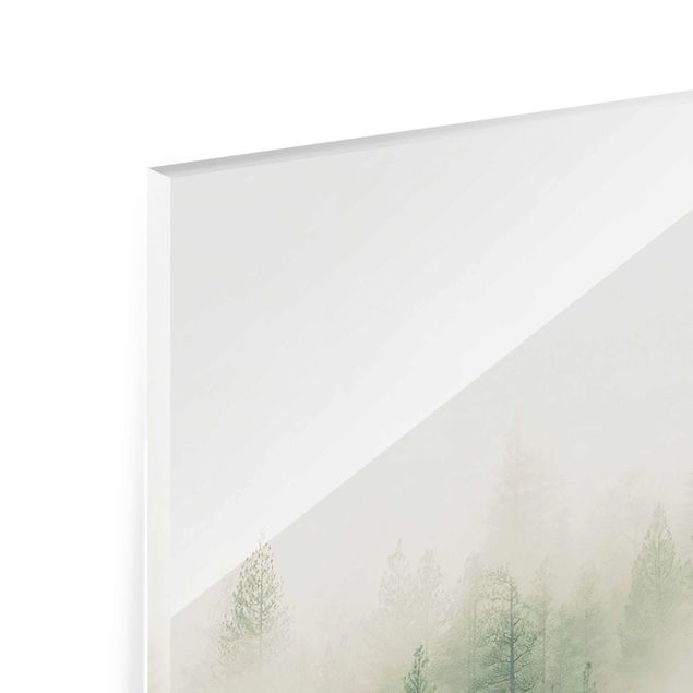 Wandbilder Grün Wald im Nebel Erwachen
