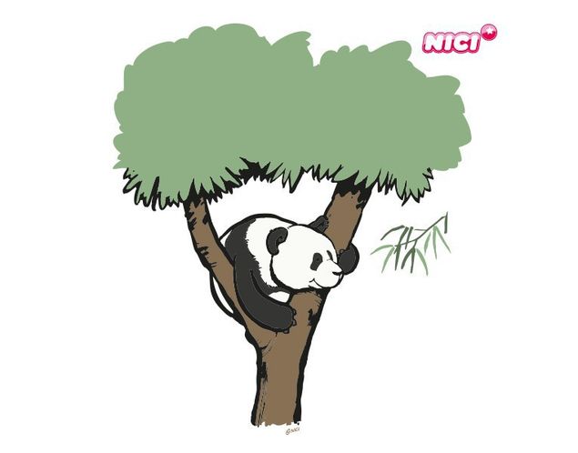 Dschungel Wandtattoo NICI - Wild Friends Panda Fu Bao