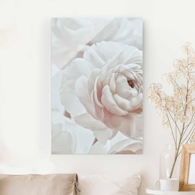 Glasbilder Rose Weiße Blüte im Blütenmeer