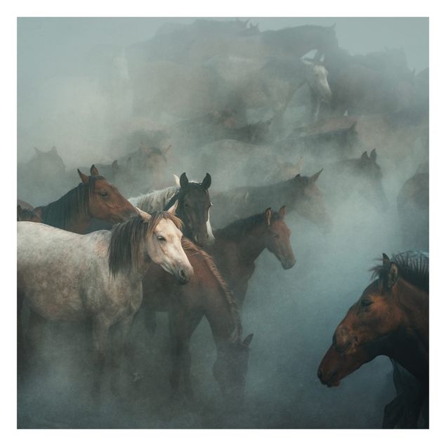 Fototapete - Wilde Pferde