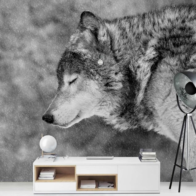 Fototapete Schwarz-Weiß Winter Wolf