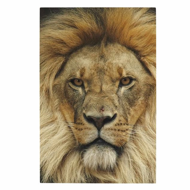 Leinwand Tiere Wisdom of Lion