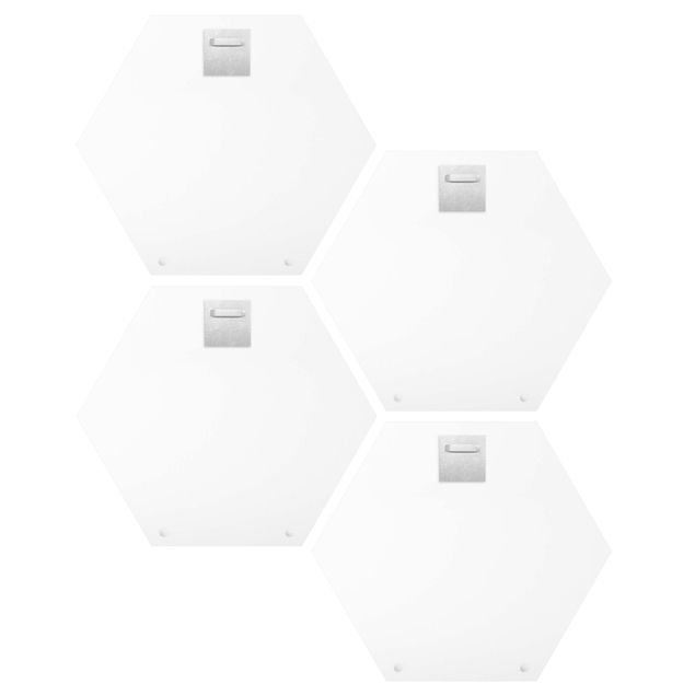 Bilder selbst gestalten 4-teiliges Hexagon Bild Alu-Dibond gebürstet selbst gestalten