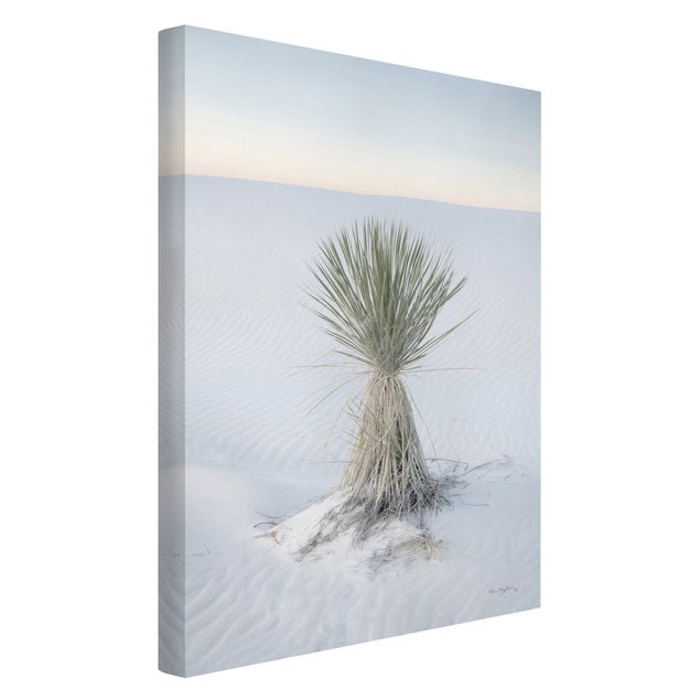 Leinwand Natur Yucca Palme in weißem Sand