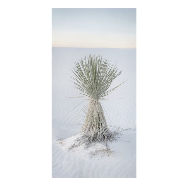 Wandbilder Natur Yucca Palme in weißem Sand