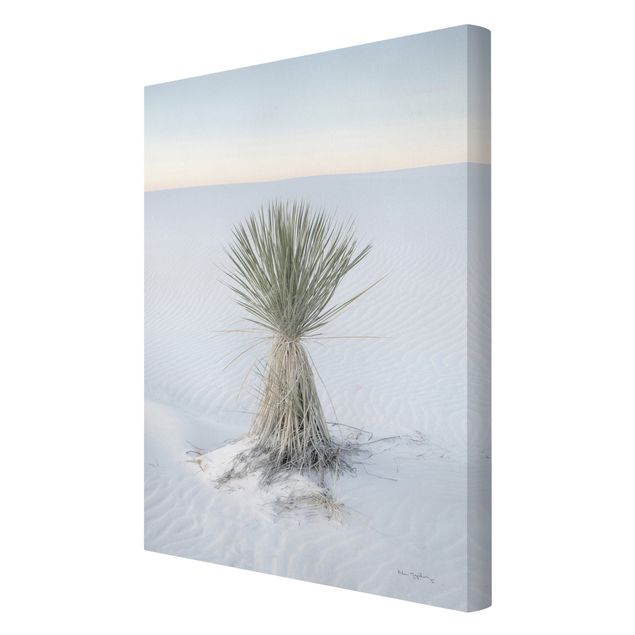 Wandbilder Modern Yucca Palme in weißem Sand