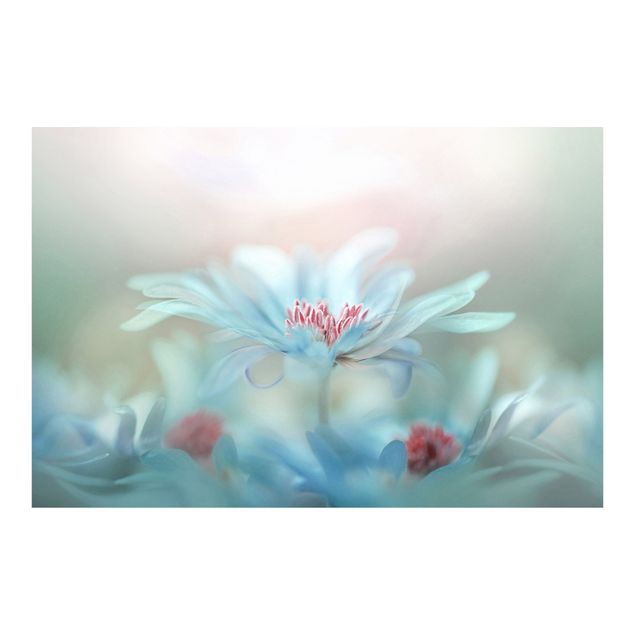 Fototapete - Zarte Blüten in Pastell