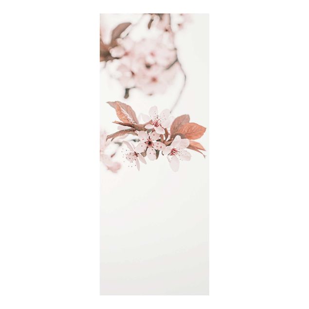 Wandbilder Rosa Zarte Kirschblüten am Zweig