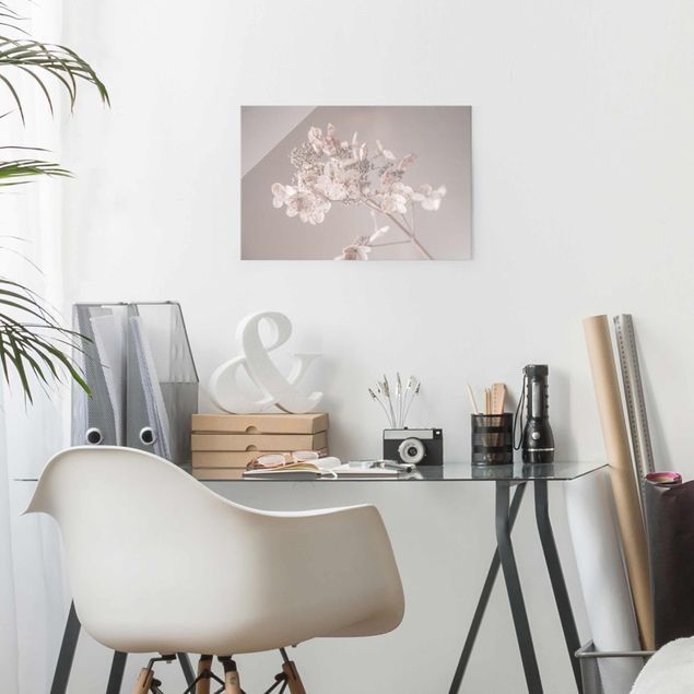 Wandbilder Floral Zarte weiße Hortensie